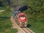 CP 5641